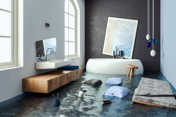 Best Water damage contractors near me  in St Martins, MO
