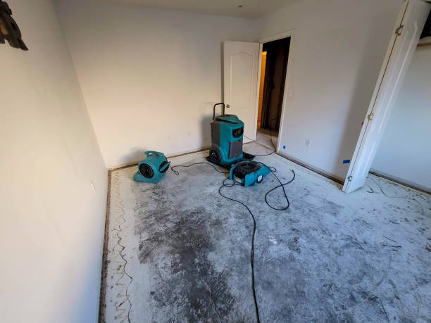 Best Basement water damage restoration  in St Martins, MO
