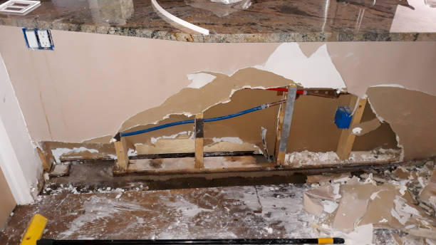 Best Water damage restoration near me  in St Martins, MO