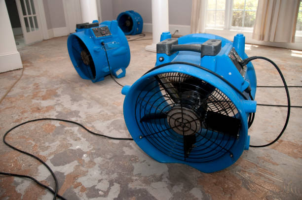 Best Water damage restoration near me  in St Martins, MO