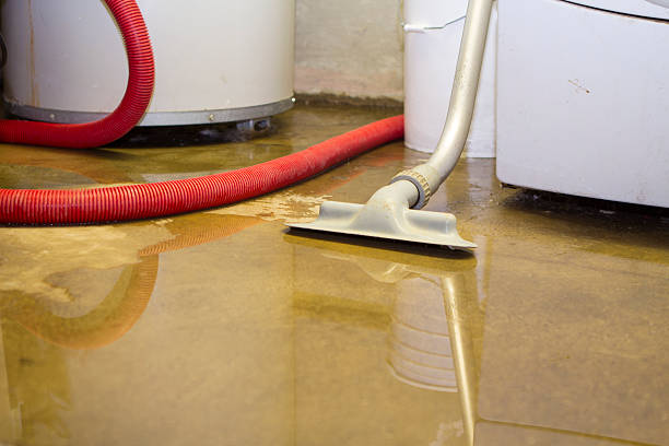 Professional Water damage restoration in St Martins, MO