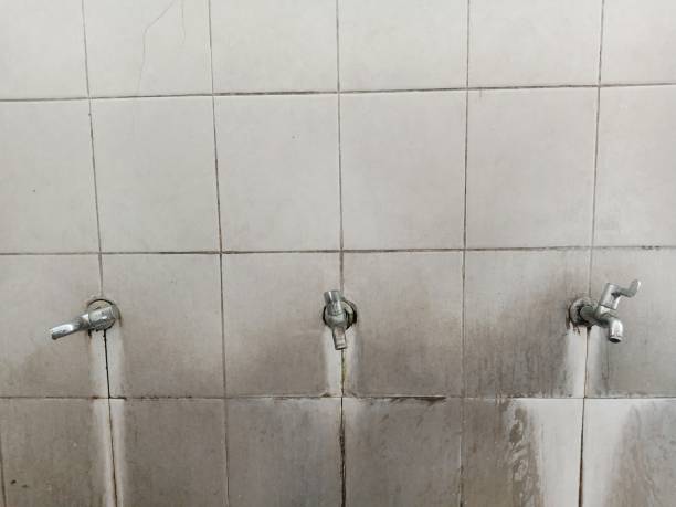 Best Local water damage restoration  in St Martins, MO