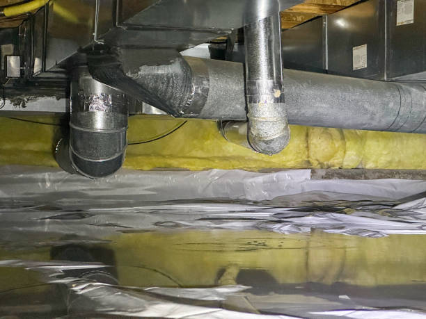 Best 24-hour water damage restoration  in St Martins, MO