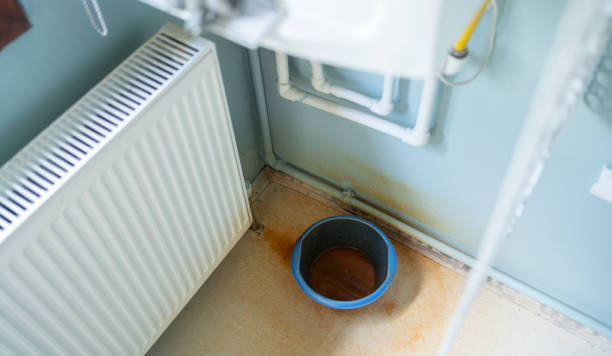 Best Flood restoration services  in St Martins, MO